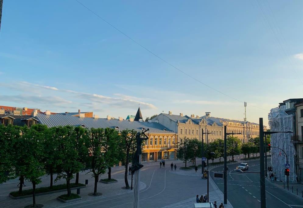 Three Bedroom With Two Terraces For 7People+Baby Kaunas Luaran gambar