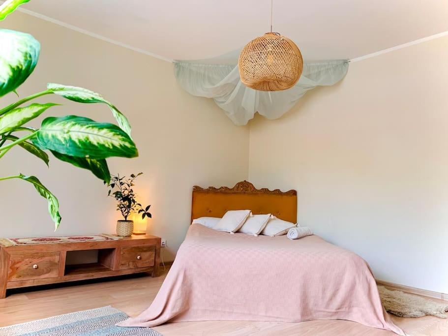 Three Bedroom With Two Terraces For 7People+Baby Kaunas Luaran gambar